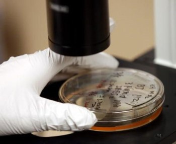 Our cells, ourselves Our cells, ourselves