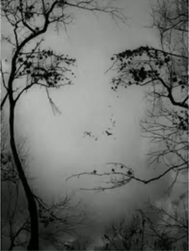 What is reality What is reality