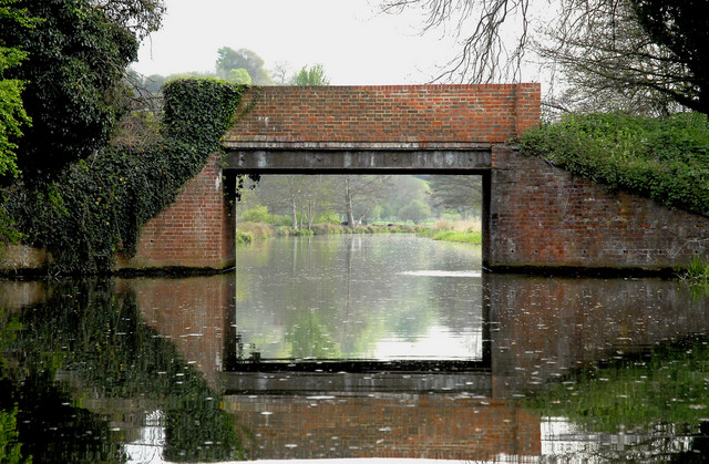 reflection